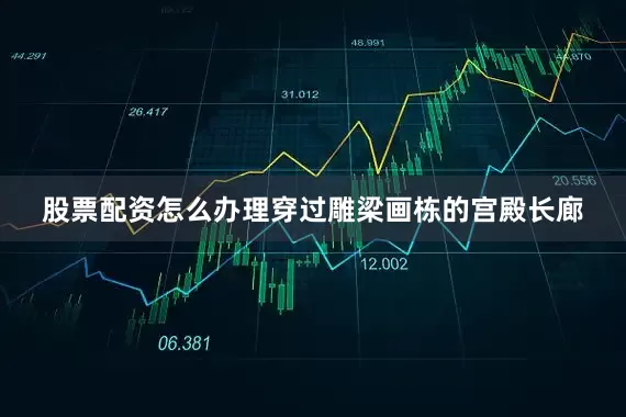 股票配资怎么办理穿过雕梁画栋的宫殿长廊