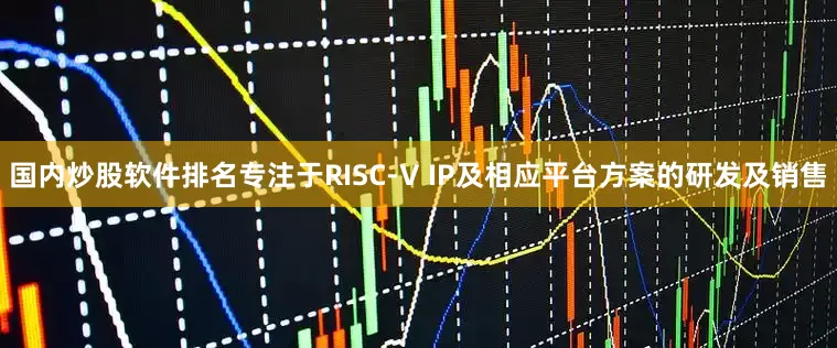 国内炒股软件排名专注于RISC-V IP及相应平台方案的研发及销售